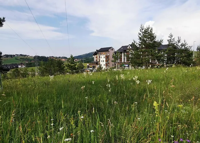 Novi Vlah * Zlatibor