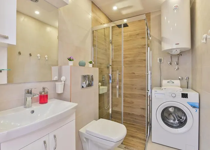 Novi Vlah * Zlatibor